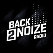 (c) Back2noize.com